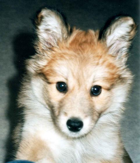 Reppulin War-Eru, kuva Katri Salonen